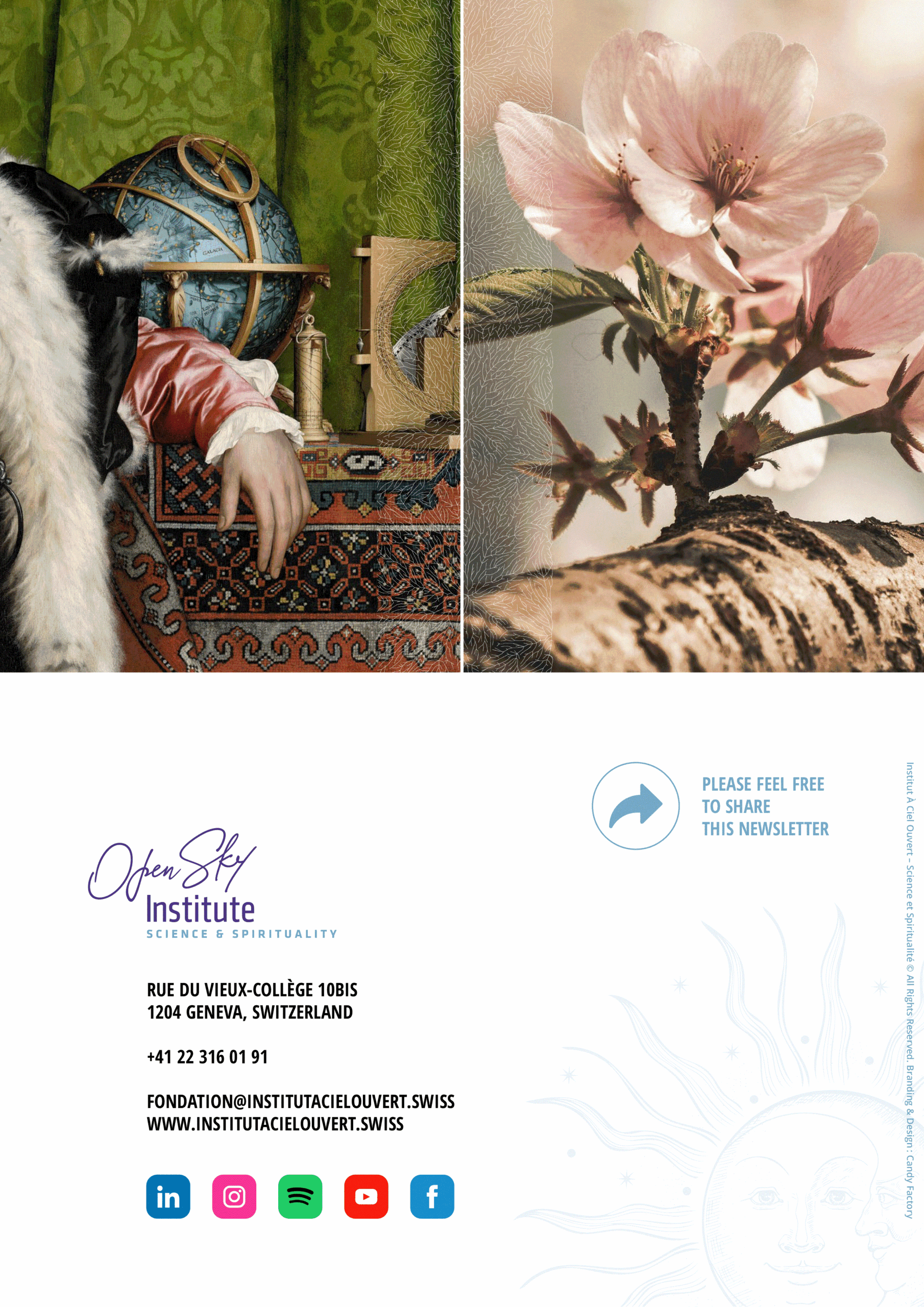 ACO_Newsletter13_EN_V1-12